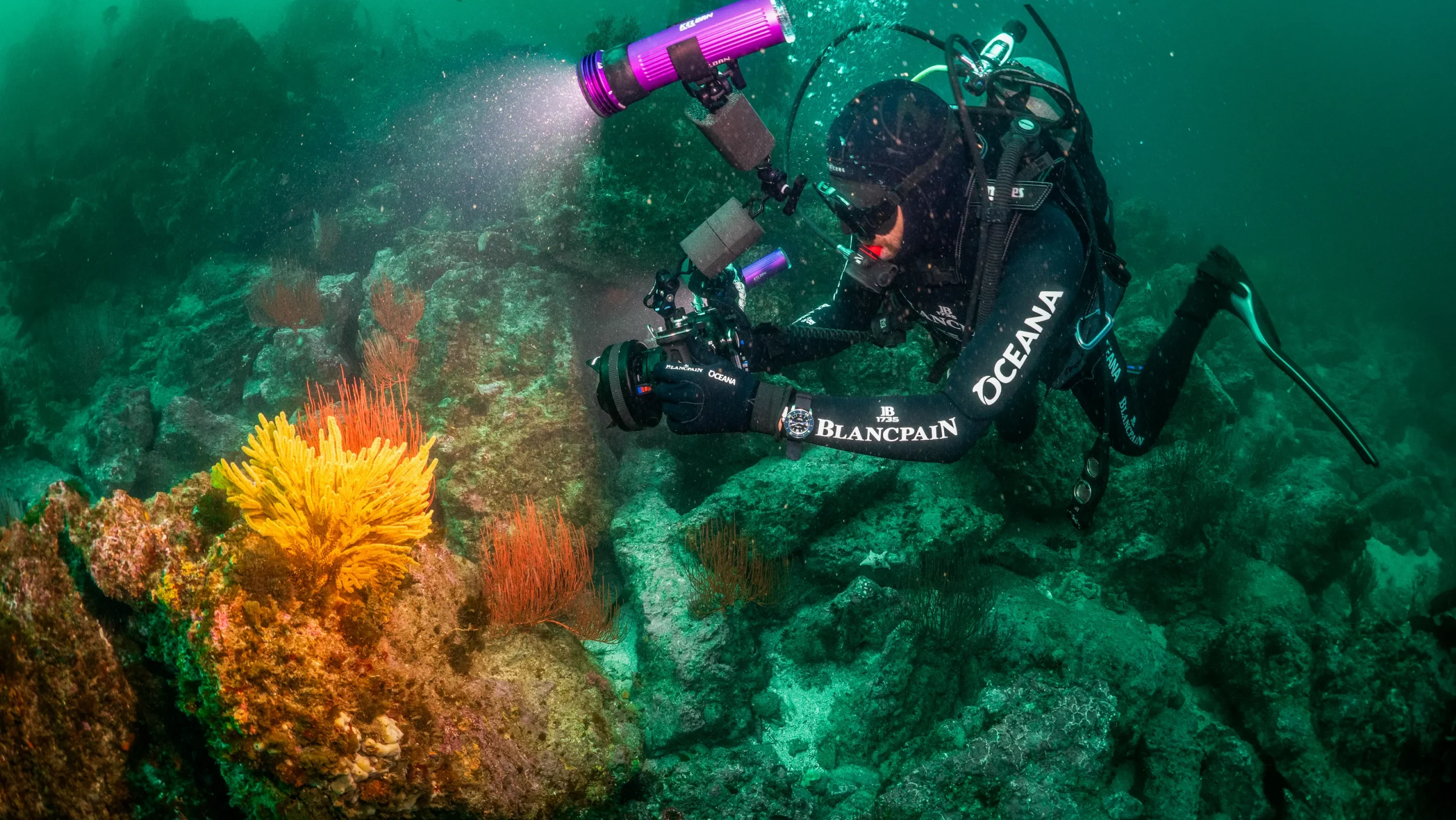Dive into Discovery: How Environmental DNA is Transforming Marine Research off the Channel Islands