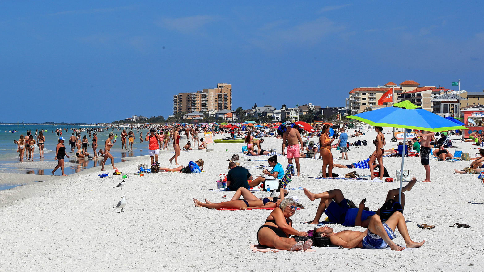 DeSantis Halts Florida Beach Closures Amid 'Fecal Pollution' Alerts