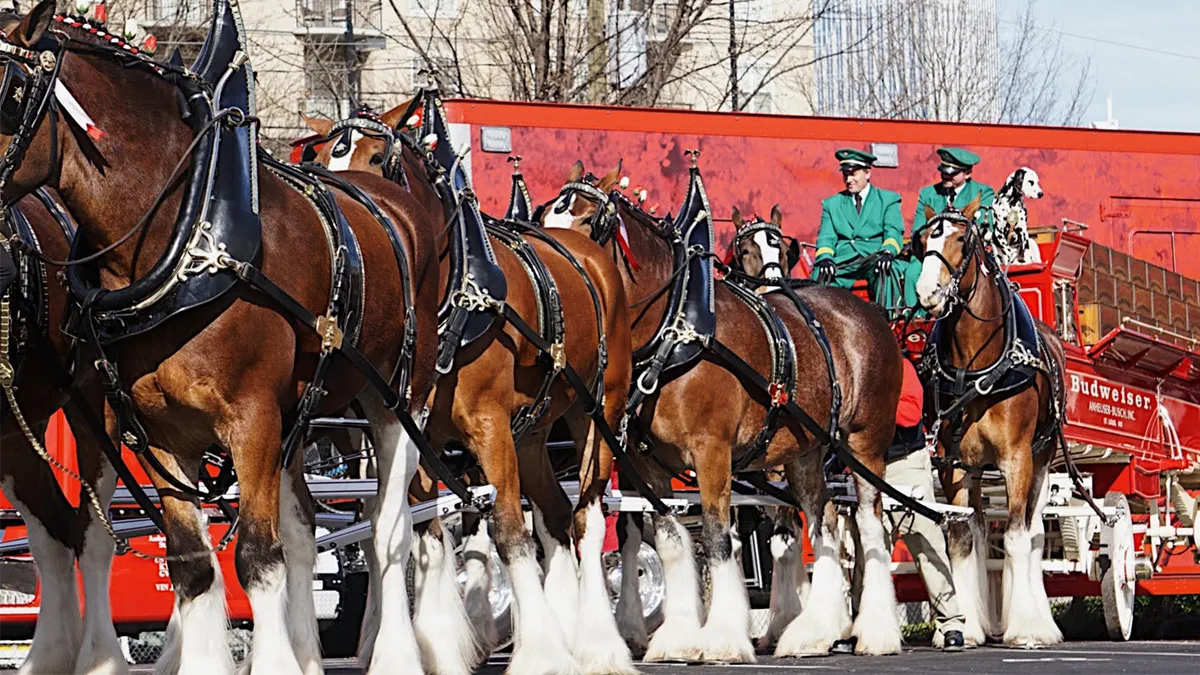 Hitch a Ride with History: Catch the Budweiser Clydesdales in Atlanta!