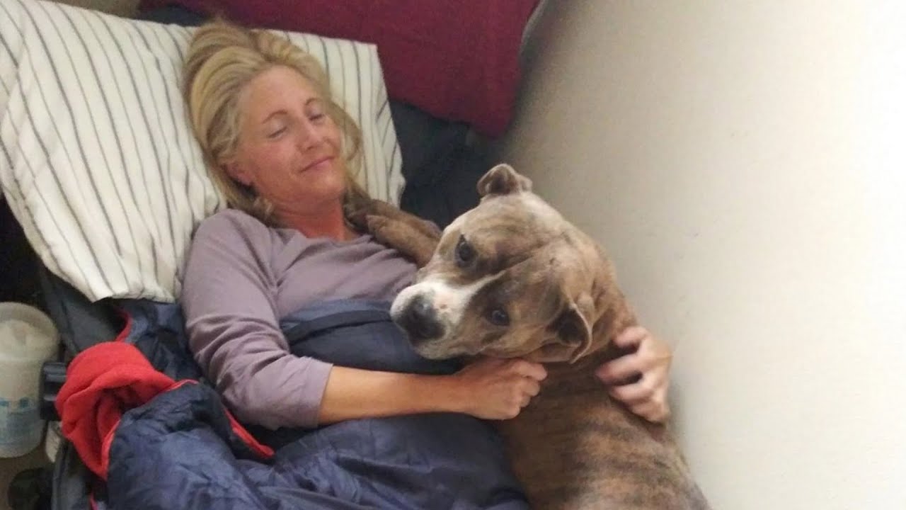 Loyal Lost Soul: Shelter Dog Awaits Forever Home After 700 Days