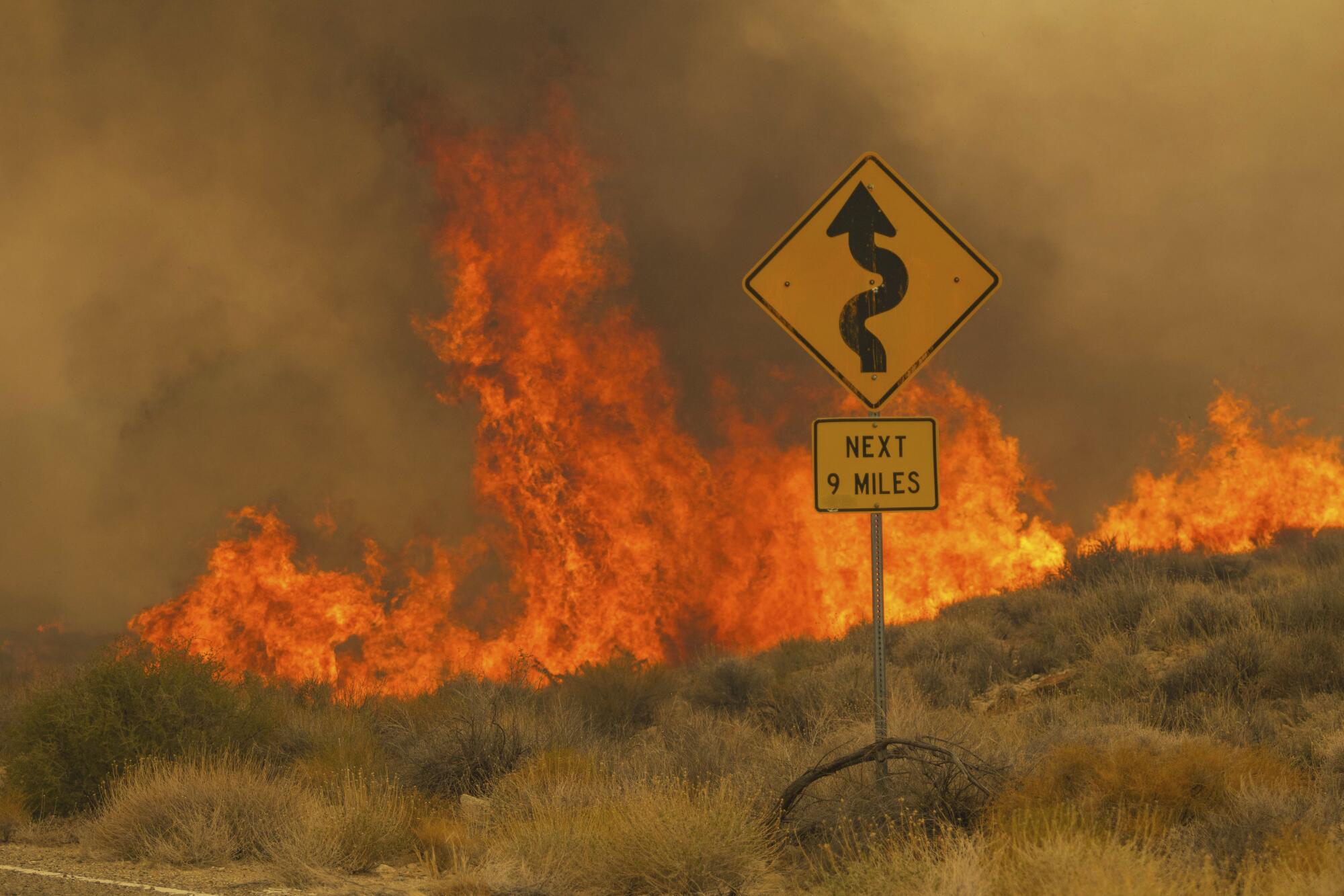 Northern California Braces for Potential Power Outages as Fire Danger Rises