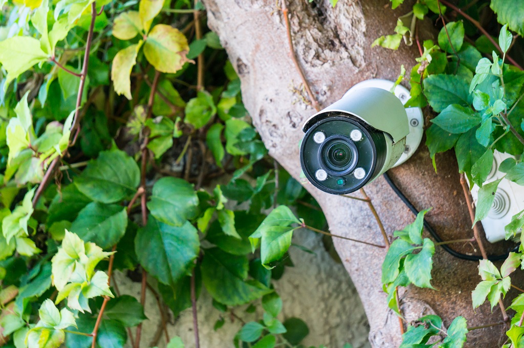 Protect Your Home! How to Spot Hidden Cameras in Your Yard!